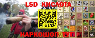 гидропоника Будённовск