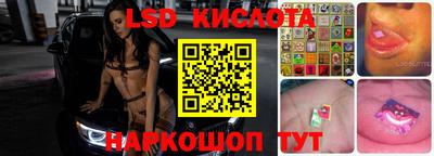гидропоника Будённовск