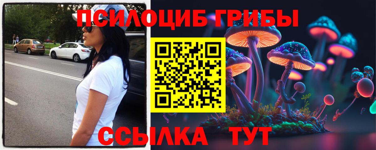 где найти   Вход с VPN  Петропавловск-Камчатский  Псилоцибиновые грибы Psilocybe 